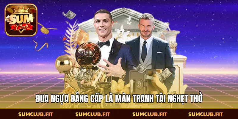 Đua ngựa đẳng cấp là màn tranh tài nghẹt thở