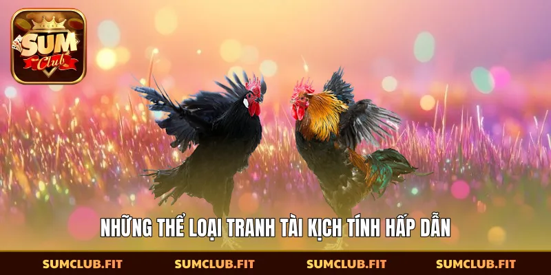 Những thể loại tranh tài kịch tính hấp dẫn